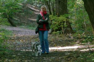 佐賀で犬連れの観光スポットはどこがおすすめ？