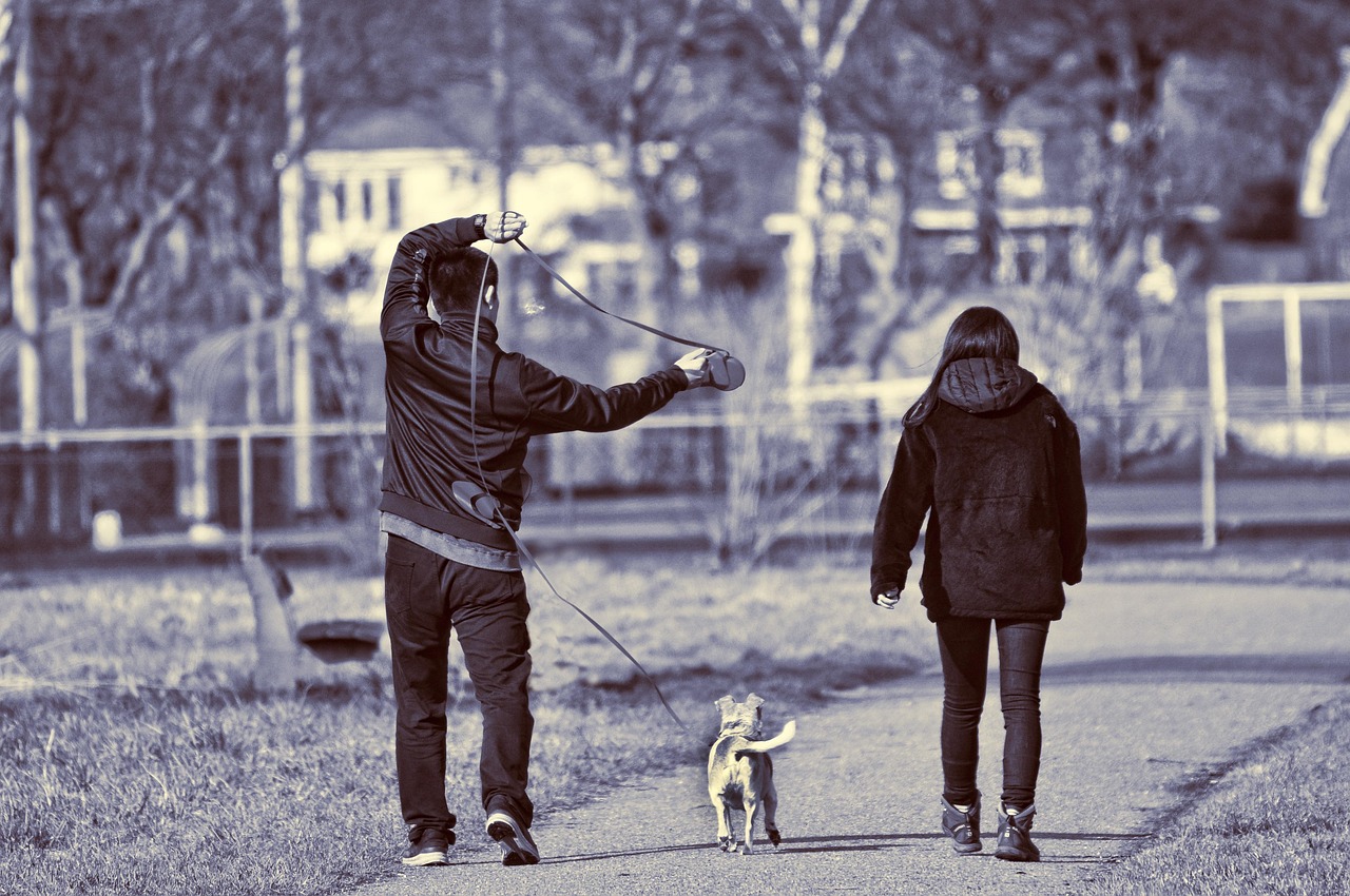 別府で犬連れのおすすめスポットは？