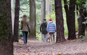 別府の温泉旅行にペットと一緒に楽しむ方法は？