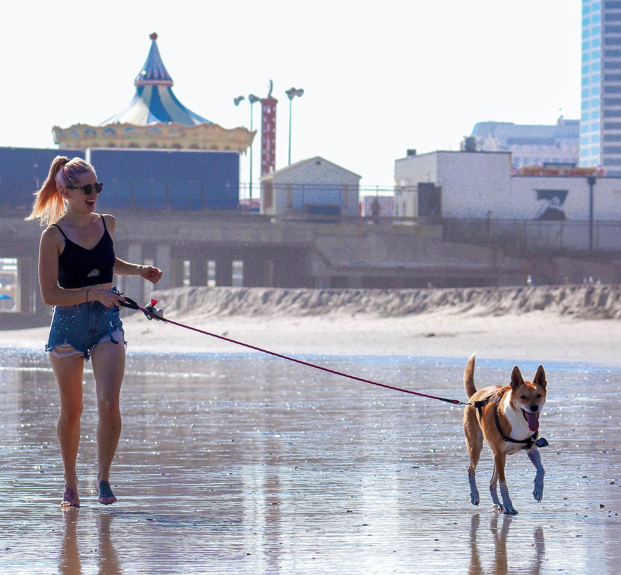 嬉野で犬連れの旅行を楽しむためのポイントは？