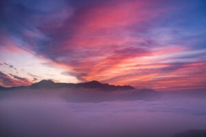 熊本でペットと泊まれる格安温泉宿のおすすめは？