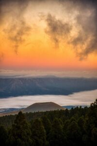 熊本でペットと泊まれる格安温泉宿はどこにある？