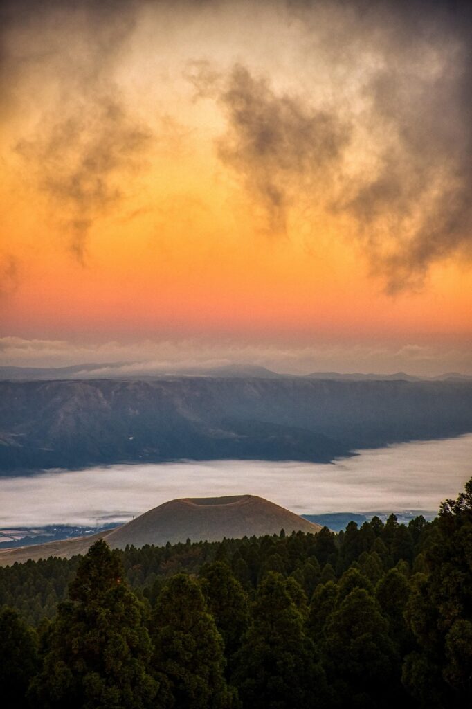 熊本でペットと泊まれる格安温泉宿はどこにある？