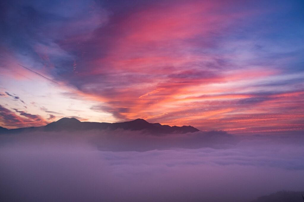 熊本でペットと泊まれる高級温泉宿のおすすめは？