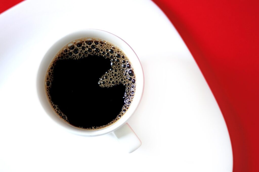 九州で犬猫同伴OKの温泉宿を選ぶ際の条件は？