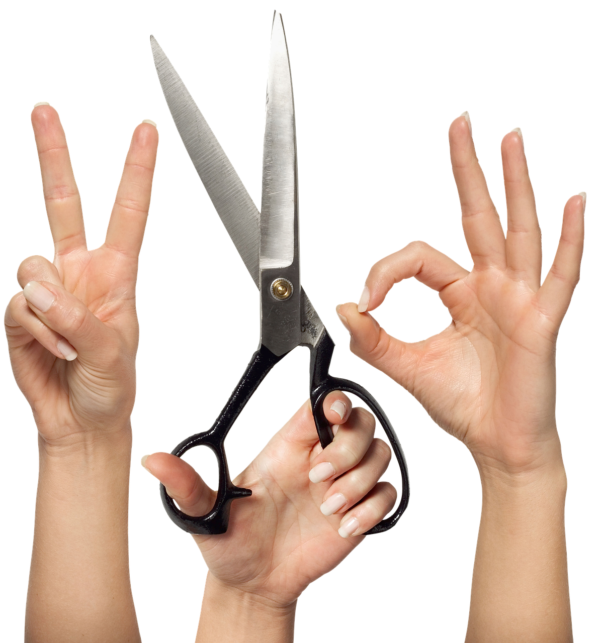 大型犬OKの温泉宿で九州の貸切風呂を楽しむには？