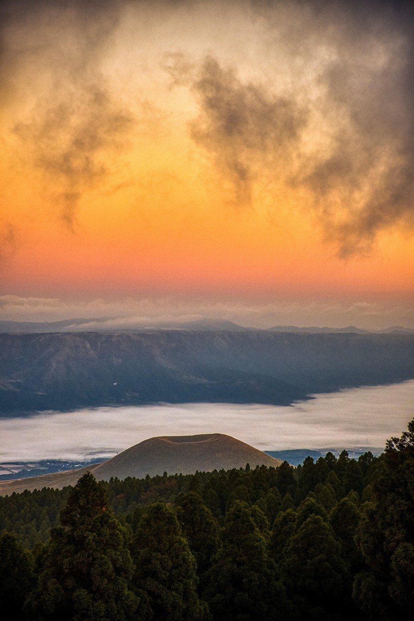 熊本で犬と泊まれるドッグラン付き温泉宿のおすすめは？