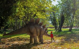 九州のペット可温泉宿を比較するとどこが一番おすすめ？